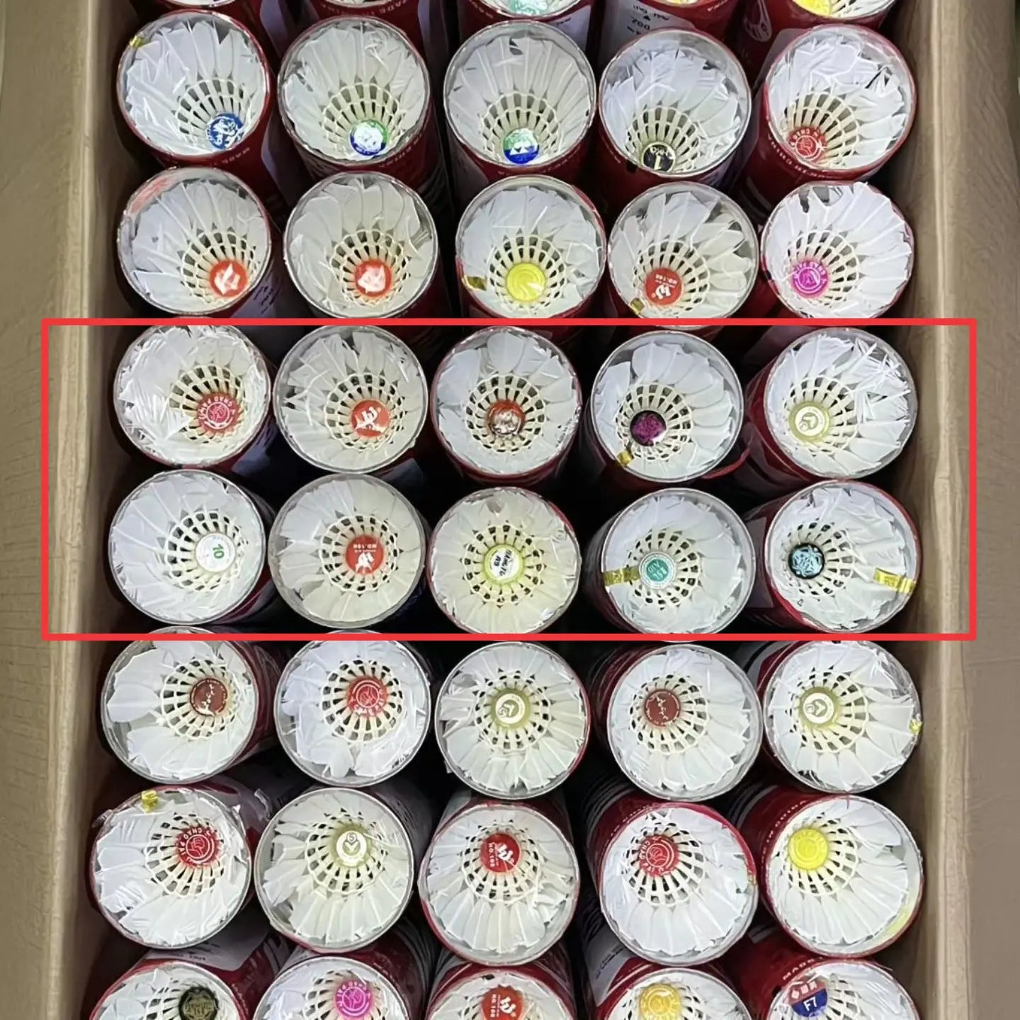 Used badminton shuttlecocks for training (suitable for beginners) 10 dozens